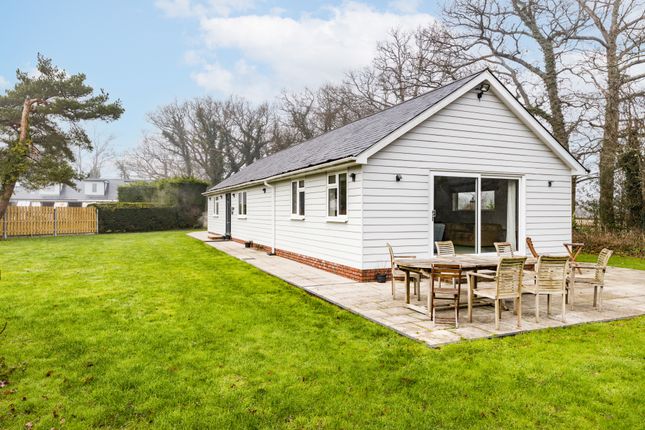 Thumbnail Detached bungalow for sale in Woodland Lane, Newchapel, Lingfield