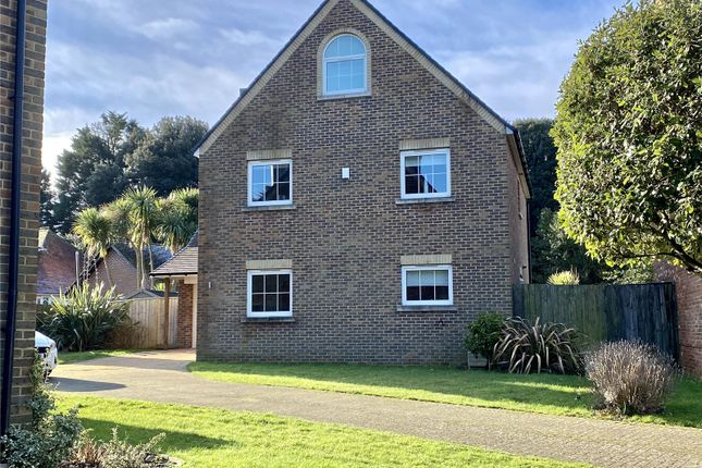 Thumbnail Detached house for sale in Park Rise, Sandown, Isle Of Wight