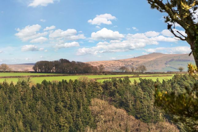 10 Albert Terrace, Drakewalls Gunnislake Cornwall, Gunnislake photo 2