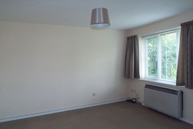 41, Romsey photo 3