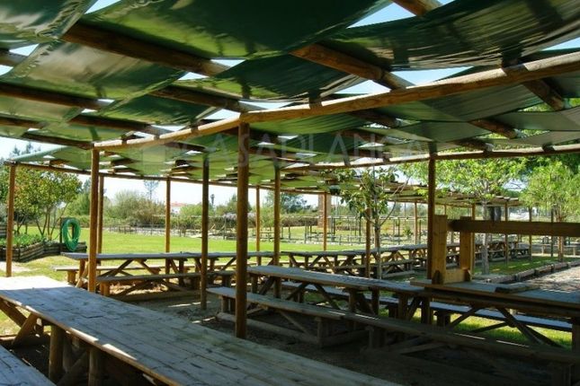 Properties For Sale In Santana Do Mato Coruche Santarém - 