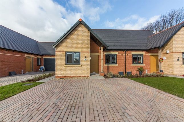 Thumbnail Semi-detached bungalow for sale in The Canterbury At Sheepbridge Park, Mansfield