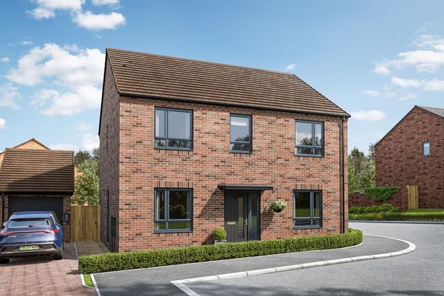 An Artist's Impression Of The Rightford