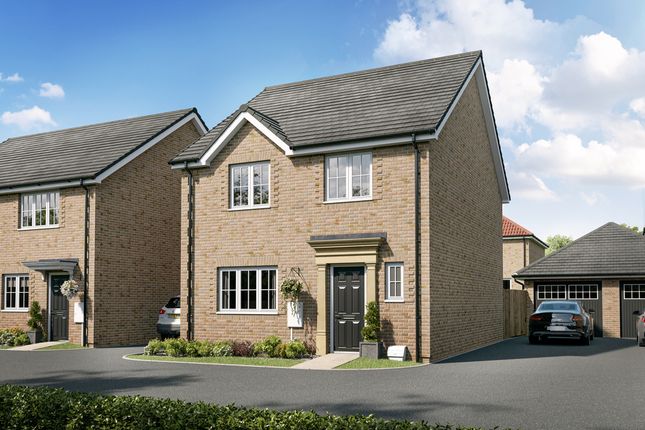 Thumbnail Detached house for sale in "The Mylne" at Meadowsweet Way, Ely