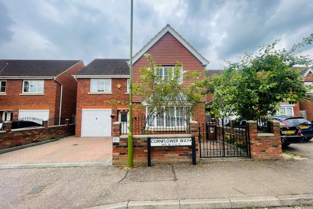 Thumbnail Detached house to rent in Cornflower Way, Hatfield