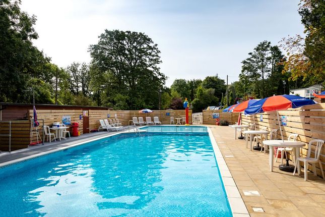 Beauport Holiday Park, Ridge West, St Leonards on Sea photo 2