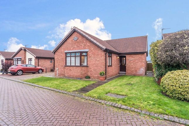 Thumbnail Bungalow for sale in Hunter Close, Preston, Hull, East Yorkshire