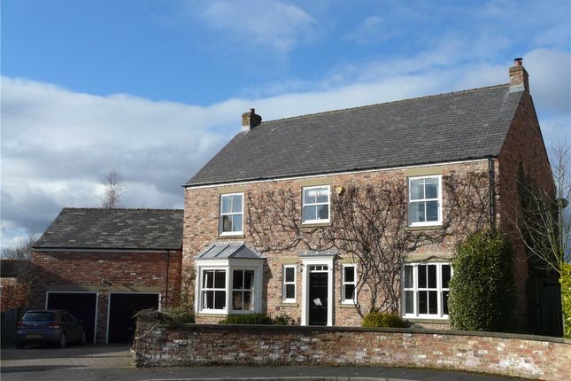 Thumbnail Detached house to rent in The Croft, Marton Cum Grafton, York, North Yorkshire