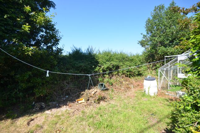 13, Maeshendre, Aberystwyth photo 4