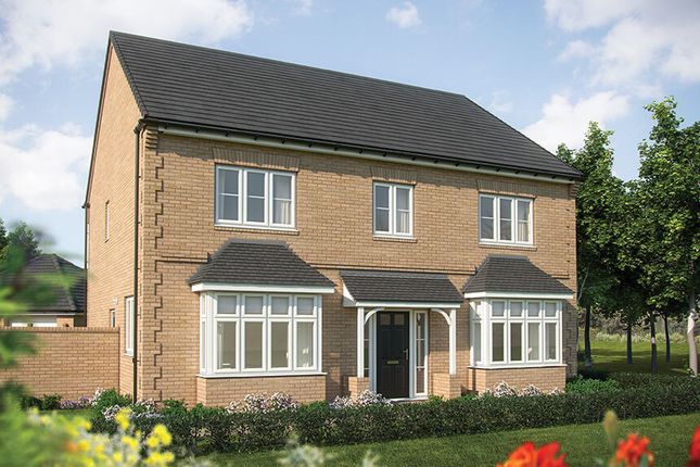 Thumbnail Detached house for sale in "The Lime" at Driver Way, Wellingborough
