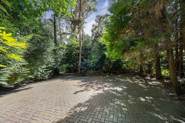 The Mound, Ripplesmere, Bracknell photo 4