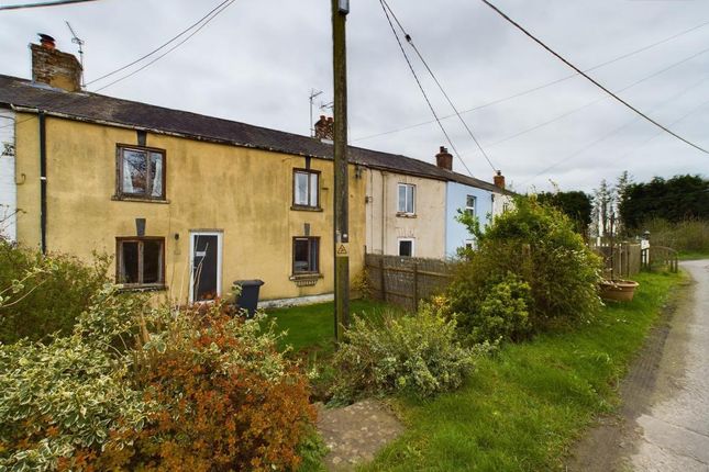 Thumbnail Terraced house for sale in Bank Terrace Dowsdale, Crowland, Peterborough