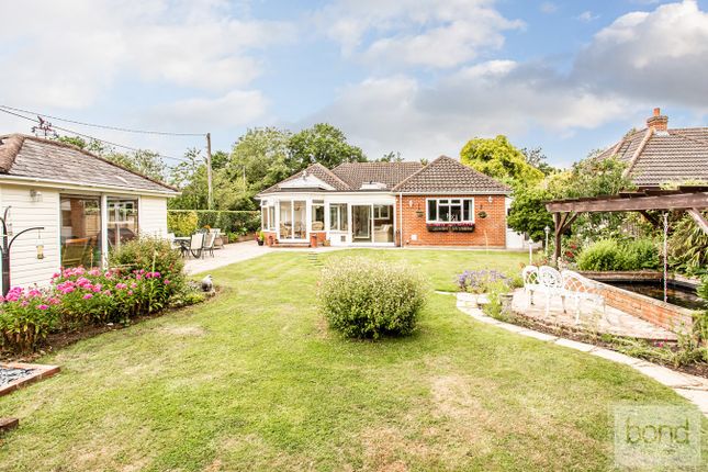 Detached bungalow for sale in The Ridge, Little Baddow, Chelmsford CM3