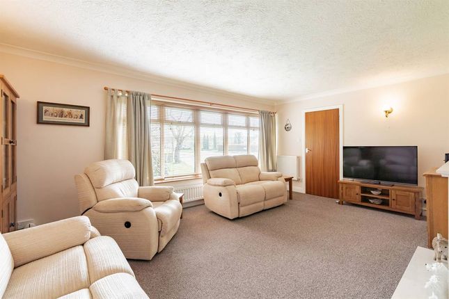 12, Shepherds Walk, Whitstable photo 4