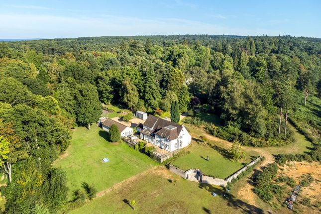 Thumbnail Land for sale in Hindhead, Surrey