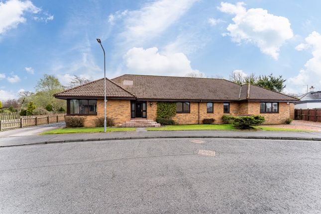 Thumbnail Detached bungalow for sale in 11 Evergreen Estate, Coalhall, Ayr