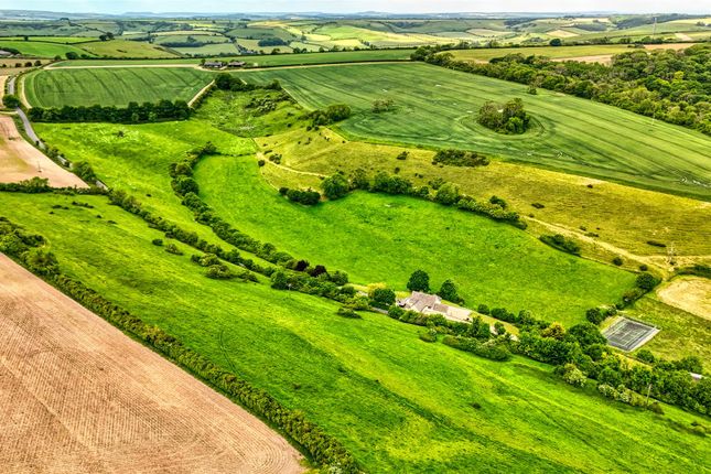Dji_20240611115521_0601_D_Hdr.Jpg