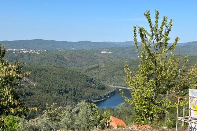 Thumbnail Land for sale in Amoreira Cimeira, Portela Do Fojo-Machio, Pampilhosa Da Serra, Coimbra, Central Portugal