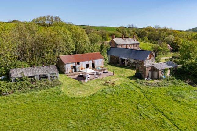 North Hayne Farm, Tiverton photo 2