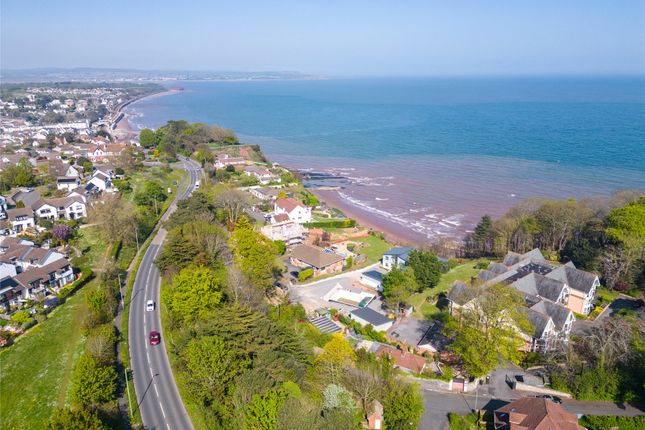 Arial View