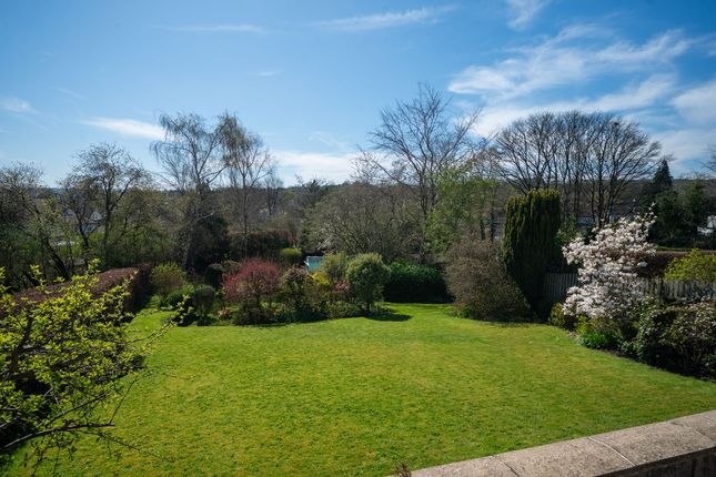 111, Knowle Lane, Sheffield photo 4