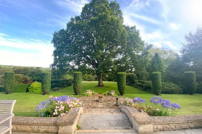 Grounds
