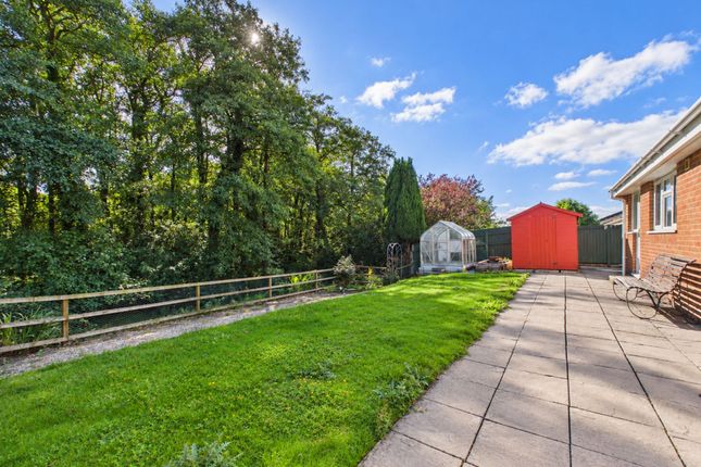 9 Oakleaf Close, Beaworthy photo 4