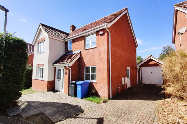Detached house to rent in Mardle Street, Norwich