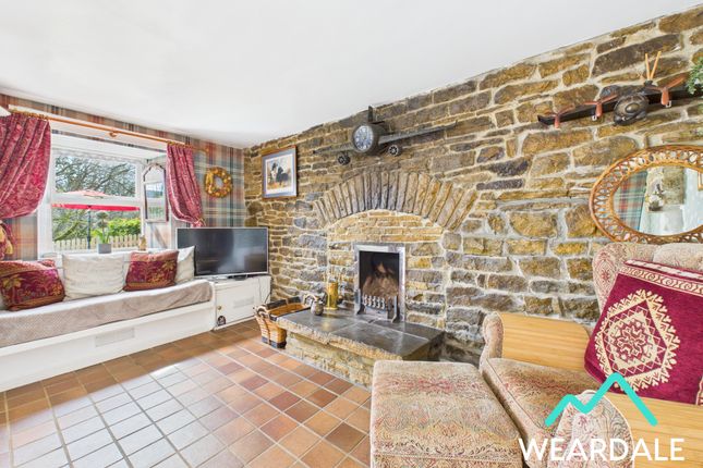 Butterfly Lodge, New House, Wearhead photo 4