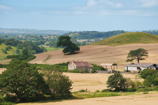 Lodge Hill Farm, -, Wells photo 2