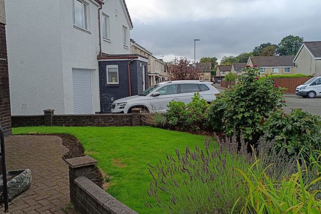 34, Wood Avens, Tullibody photo 3