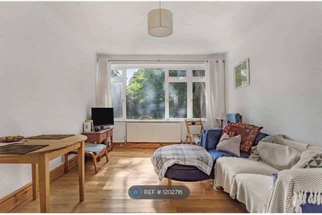 Bright Aspect To Sunny Gardens With Mature Trees