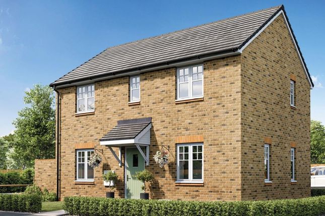 Thumbnail Detached house for sale in "Scotswood" at Primrose Close, Cringleford, Norwich