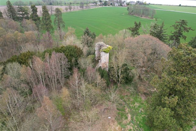 Thumbnail Land for sale in Dunmore, Falkirk