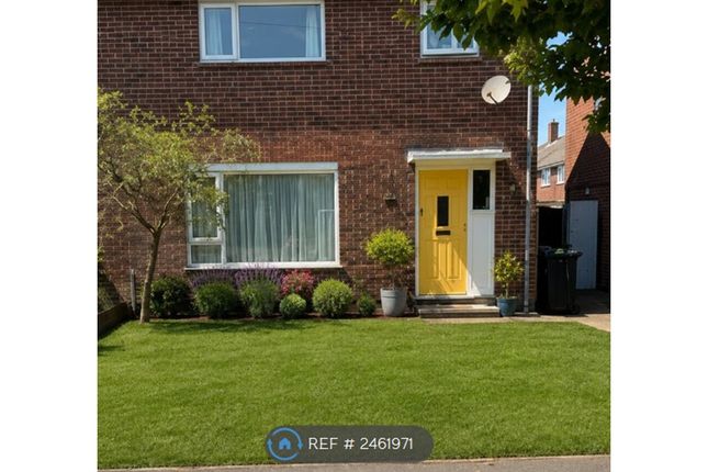 Spruce Avenue, Colchester photo 3