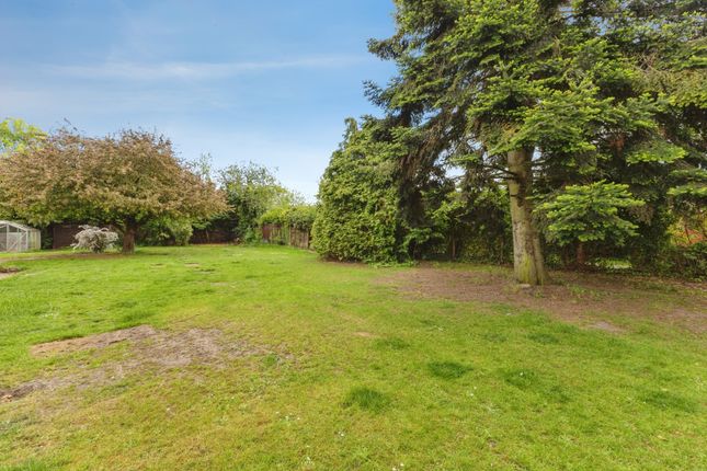 40, Dereham Road, Thetford photo 4