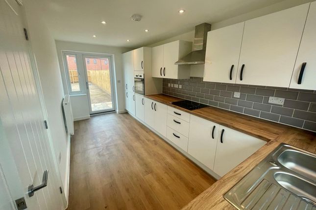 The Alder, Plot 37, Eastwood, Great Yarmouth photo 4