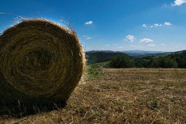 Country house for sale in Via De Larderel, Pomarance, Toscana