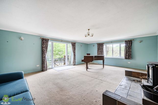 Tall Oak, Haughurst Hill, Tadley photo 4