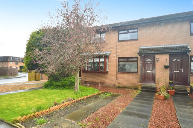 Thumbnail Terraced house for sale in Frood Street, Motherwell