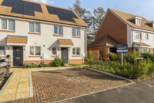 1380361-19-691Dbb...