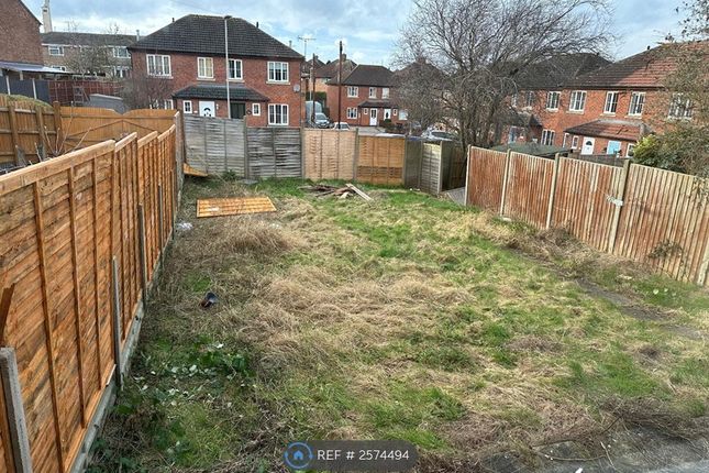 Back Garden