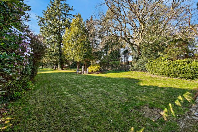 Norwood,, School Lane, Ingatestone photo 2