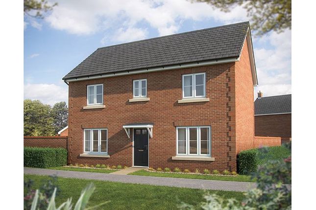 Thumbnail Detached house for sale in "Spruce" at Higher Comeytrowe, Taunton