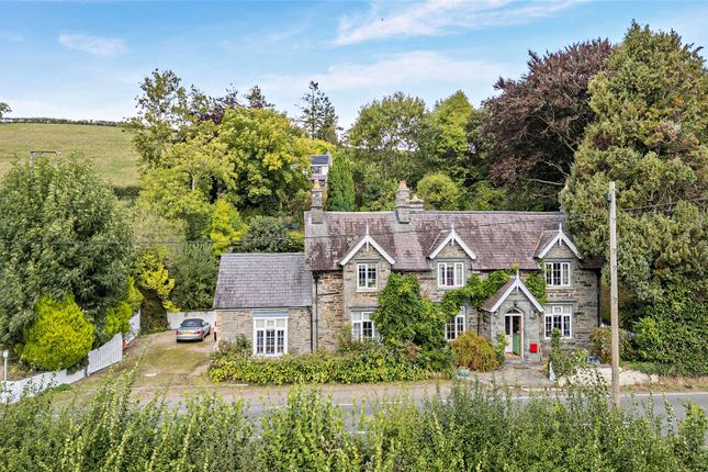 Fernhill Lodge,, Llechryd, Ceredigion photo 2