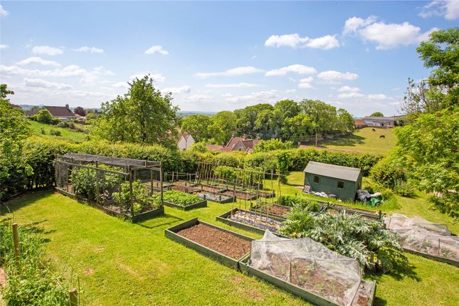 Detached house for sale in Old Ditch, Westbury Sub Mendip, Wells, Somerset