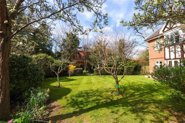 6,, Victoria Mews, Weybridge photo 4