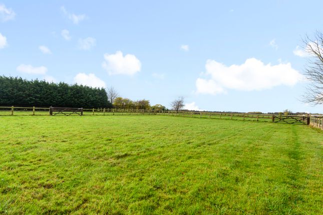MEADOW VIEW, Hallgate, Spalding photo 4