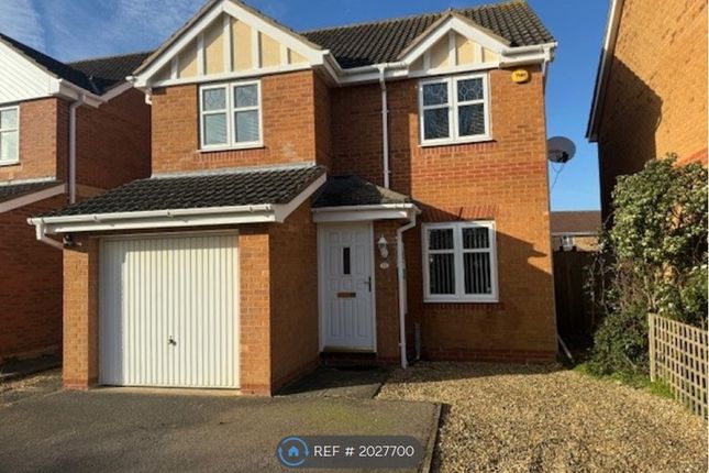 Thumbnail Detached house to rent in Riley Close, Yaxley, Peterborough