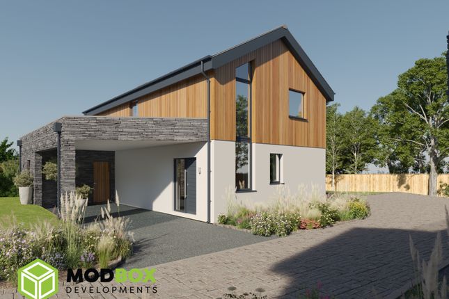 Seven Zeath At The Bay